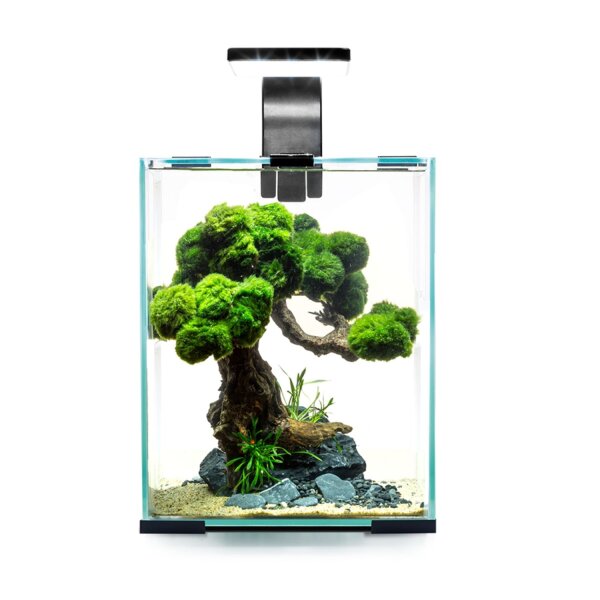 Aquael Shrimp Set Day & Night