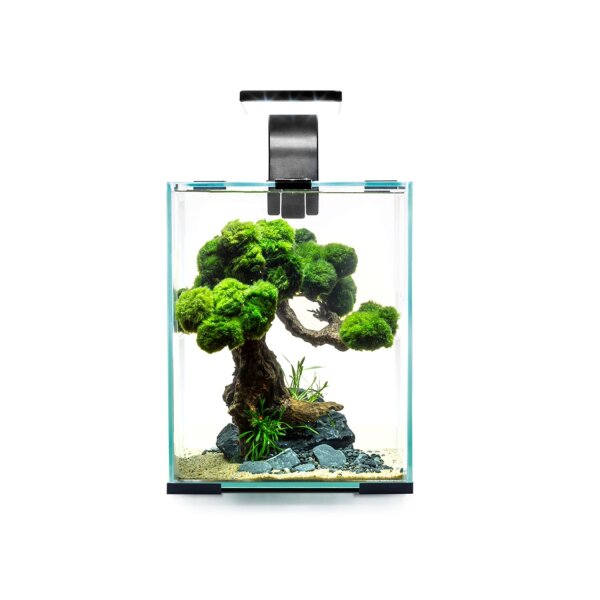 Aquael Shrimp Set Day & Night 10 l schwarz