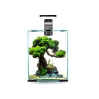 Aquael Shrimp Set Day & Night 10 l schwarz