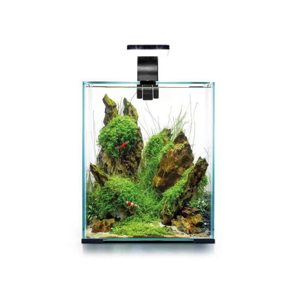 Aquael Shrimp Set Day & Night 20 l schwarz