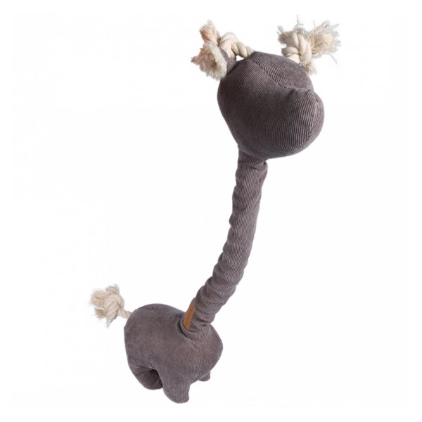 D&D Giraffe George