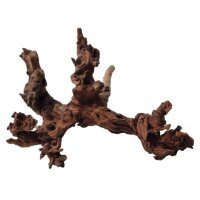amtra Mystic Wood 50-70 cm