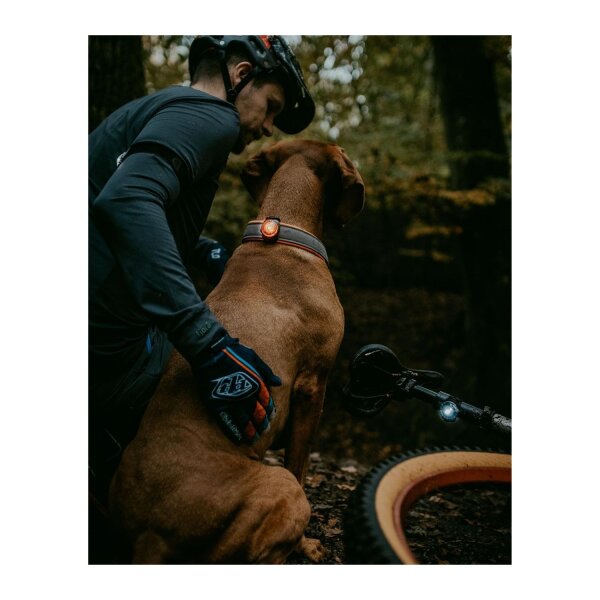 Orbiloc K9 Active