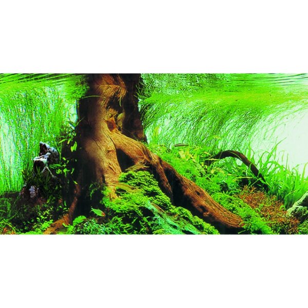HOBBY Pearl River & Deep Delta Fotorückwand 100 x 50 cm