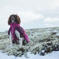 Non-stop Glacier Jacket lila M: 41-48 cm