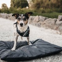 District 70 Lodge