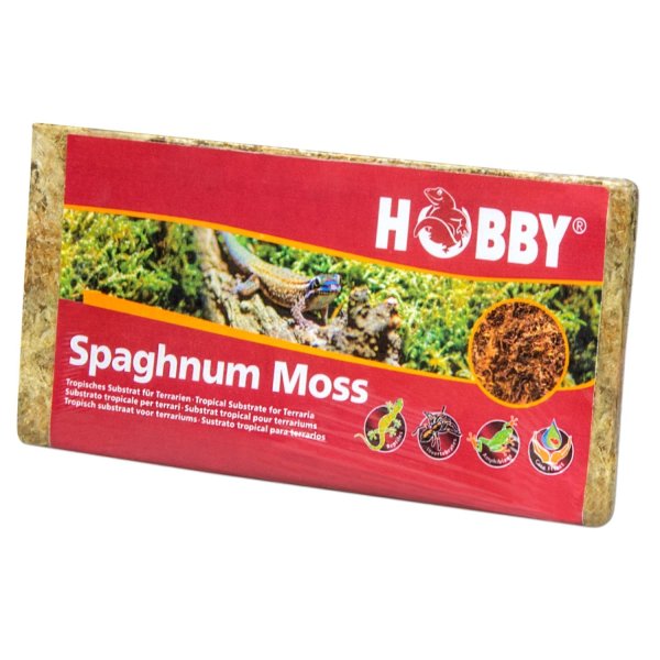 HOBBY Sphagnum Moss