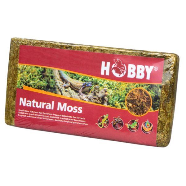 HOBBY Natural Moss