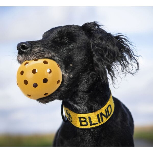 TRIXIE Lochball für blinde Hunde