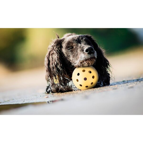 TRIXIE Lochball für blinde Hunde