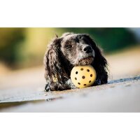 TRIXIE Lochball für blinde Hunde