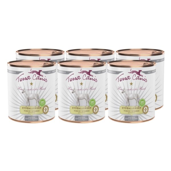 Terra Canis Hypoallergen Pferd mit Topinambur 6 x 800 g