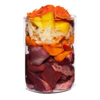 Terra Canis Getreidefrei Lamm mit Kürbis 12 x 200 g