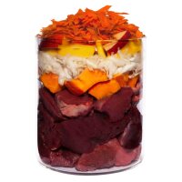 Terra Canis Getreidefrei Lamm mit Kürbis 6 x 800 g