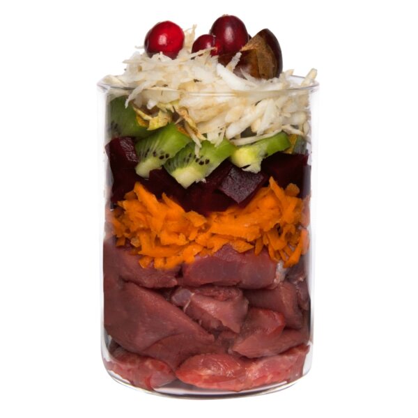 Terra Canis Getreidefrei Wildschwein mit Roter Bete 12 x 200 g