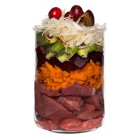 Terra Canis Getreidefrei Wildschwein mit Roter Bete 12 x 200 g