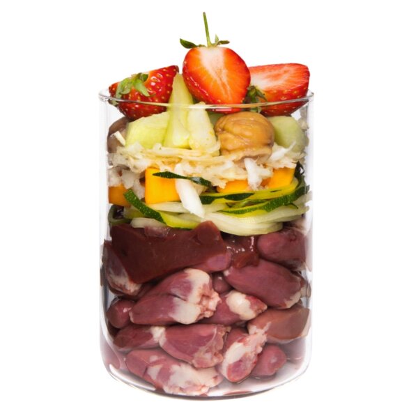 Terra Canis Getreidefrei Ente mit Kürbis 400 g