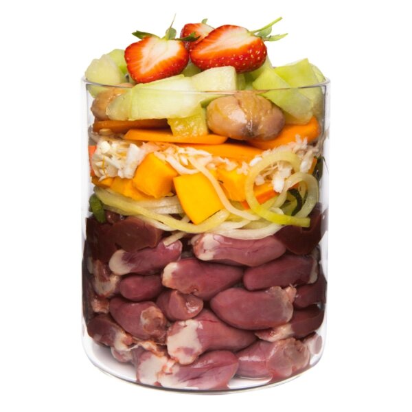 Terra Canis Getreidefrei Ente mit Kürbis 800 g