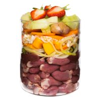 Terra Canis Getreidefrei Ente mit Kürbis 800 g