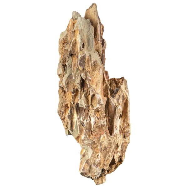 sera Dragon Stone L