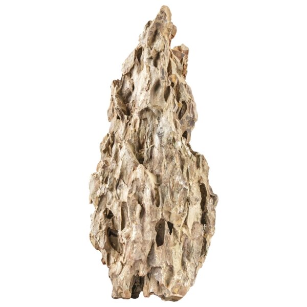 sera Dragon Stone L