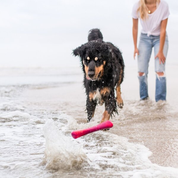 West Paw Seaflex Drifty™