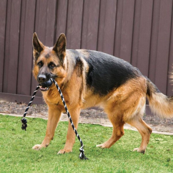 KONG Extreme Ball mit Tau