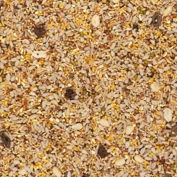 Menu Nature 4 Seasons Blend Clean Garden PROMO - 9+1 kg