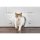 PetSafe® Staywell Cat Corridor