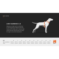 Non-stop Line Harness 5.0