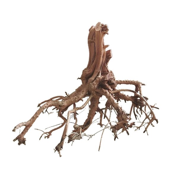 aquadeco Etosha-Tree M (H: 15-25 cm)