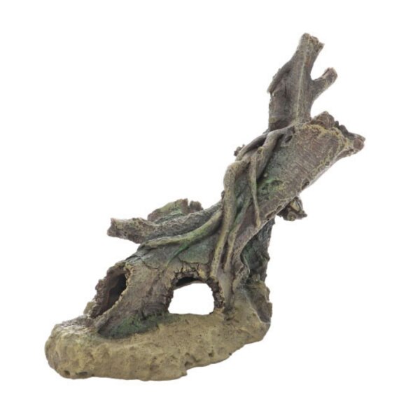 HOBBY River Root