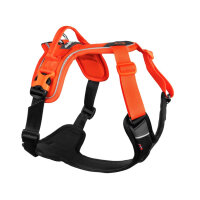 Non-stop Ramble Harness