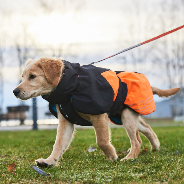 Non-stop Glacier Jacket 2.0 orange/black 27: 26-29 cm