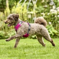 Wolters Geschirr Active Pro Comfort
