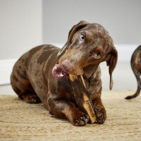 Olivi Stick