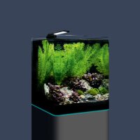 Dennerle Nano Cube Complete 20 Liter