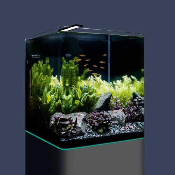 Dennerle Nano Cube Complete 60 Liter