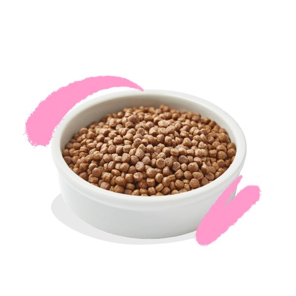 Edgard & Cooper Kitten Frische Ente und Huhn 325 g