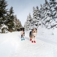 Non-stop Long Distance Booties S