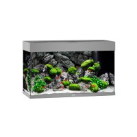 JUWEL Rio 125 LED grau