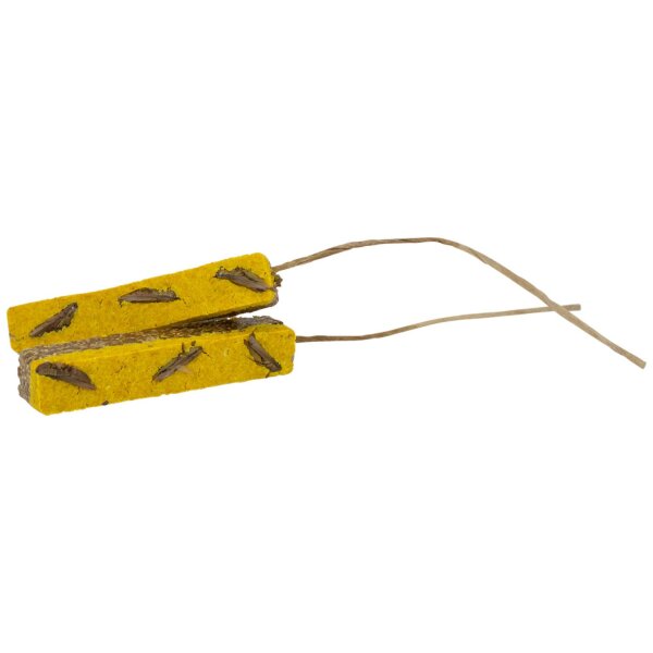 JR Farm Birds Protein-Birdys Honey Heuschrecken
