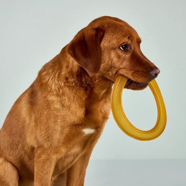 Wolters Pure Nature Frisbee