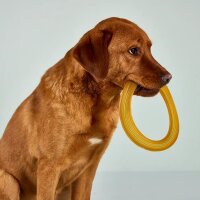 Wolters Pure Nature Frisbee L: Ø 20 cm