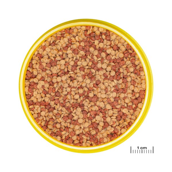 JBL ProNovo Color Grano M
