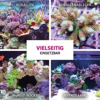 ARKA Coralscaper Gel Sekundenkleber