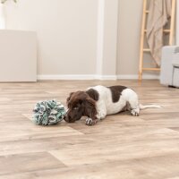 TRIXIE Schnüffelball Ø 15 cm
