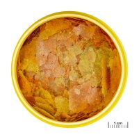 JBL ProNovo Color Flakes M 100 ml