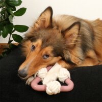 D&D Home Milou rosa