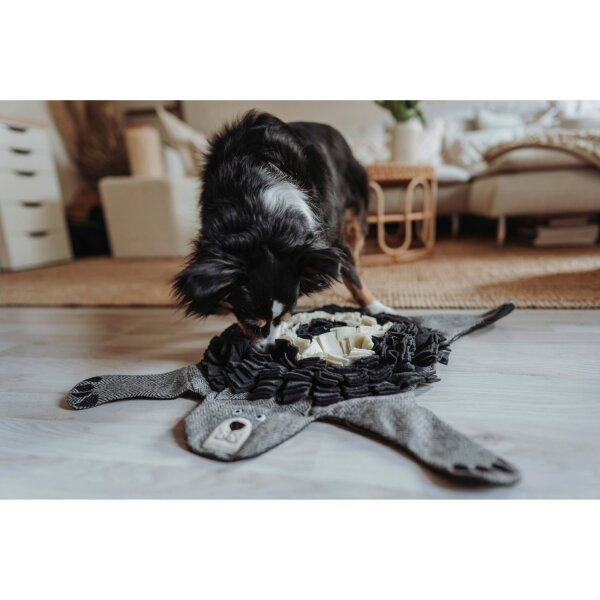 Hunter Hundespielzeug BILLUND Bär Schnüffelteppich